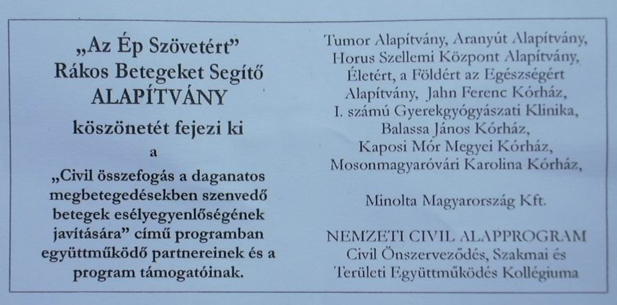 Újságcikk